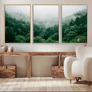 Misty Green Forest Canvas Print – Framed Serene Foggy Pine