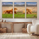 Texas Longhorn Pair Wall Art Canvas Print – Peaceful Rustic by MyGreatCanvas | Canvas Wall Art Prints | Photo Prints & Wall Decor