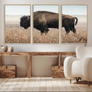American Bison Wall Art Canvas Print – Majestic Buffalo