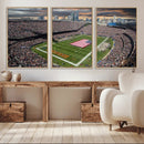 Chicago Bears Soldiers Field Wall Art Canvas Print – Framed