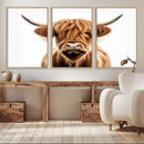 Scottish Highland Cow Canvas Print, Framed Highland Cow