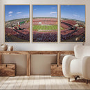 William Brice Stadium Wall Art Canvas Print – Stadium Crowd by MyGreatCanvas | Canvas Wall Art Prints | Photo Prints & Wall Decor