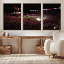 William Brice Stadium Wall Art Print – Baseball Game Room by MyGreatCanvas | Canvas Wall Art Prints | Photo Prints & Wall Decor
