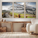 Sakura Cherry Blossom Pathway Canvas Wall Art – Tranquil