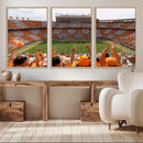 Tennessee Neyland Stadium Wall Art, Sports Arena Canvas by MyGreatCanvas | Canvas Wall Art Prints | Photo Prints & Wall Decor