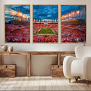 Tennessee Neyland Stadium Wall Art, Sports Arena Canvas by MyGreatCanvas | Canvas Wall Art Prints | Photo Prints & Wall Decor