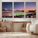 Dooley Stadium Wall Art, Sports Arena Canvas Print, Dooley by MyGreatCanvas | Canvas Wall Art Prints | Photo Prints & Wall Decor