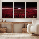 Dooley Stadium Wall Art, Sports Arena Canvas Print, Dooley by MyGreatCanvas | Canvas Wall Art Prints | Photo Prints & Wall Decor