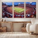 Dooley Stadium Wall Art, Sports Arena Canvas Print, Dooley by MyGreatCanvas | Canvas Wall Art Prints | Photo Prints & Wall Decor