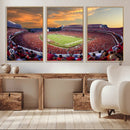 Dooley Stadium Wall Art, Sports Arena Canvas Print, Dooley by MyGreatCanvas | Canvas Wall Art Prints | Photo Prints & Wall Decor