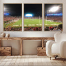 Dooley Stadium Wall Art, Sports Arena Panoramic Canvas by MyGreatCanvas | Canvas Wall Art Prints | Photo Prints & Wall Decor
