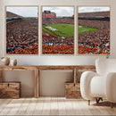 Jordan-Hare Stadium Wall Art Canvas Print, College Sports by MyGreatCanvas | Canvas Wall Art Prints | Photo Prints & Wall Decor