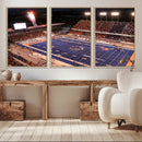 Boise State Broncos Albertsons Stadium Wall Art Canvas Print by MyGreatCanvas | Canvas Wall Art Prints | Photo Prints & Wall Decor
