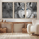 Wild Wolf Blue Eye Wall Art Canvas Print