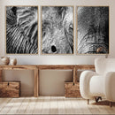 Wild Old Elephant Wall Art Canvas Print