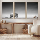 Elephand and Zebra Wall Art Canvas Print, Modern Artwork