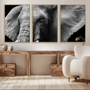 Big Elephant Close Up Wall Art Canvas Print
