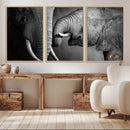 Elephant Family Wall Art Canvas, Framed Elephant Family by MyGreatCanvas | Canvas Wall Art Prints | Photo Prints & Wall Decor