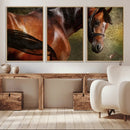 Majestic Brown Horse Wall Art Canvas Print – Framed