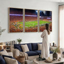 Clemson Football Stadium Wall Art Canvas Print, College