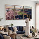 Donald W. Reynolds Razorback Stadium Wall Art Canvas Print –