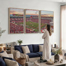 Donald W. Reynolds Razorback Stadium Wall Art Canvas Print –