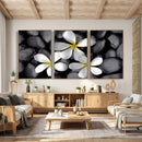 Plumeria Frangipani Black Stone Canvas | White Flower Spa by MyGreatCanvas | Canvas Wall Art Prints | Photo Prints & Wall Decor