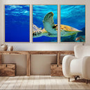 Sea Turtle Wall Art Canvas Print, Sea life in the Ocean Wall