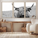 Newfoundland Cow Art Wall Art, Black White Cow Art Wall Art