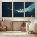 Swimmer Wall Art Canvas Print