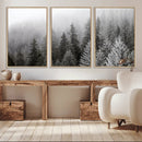 Big Foggy Forest and Misty Trees Forest Wall Art Canvas by MyGreatCanvas | Canvas Wall Art Prints | Photo Prints & Wall Decor