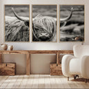 Cow Focus Canvas Wall Art Print by MyGreatCanvas | Canvas Wall Art Prints | Photo Prints & Wall Decor