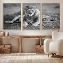King Forest Lion Wall Art Canvas Print – Framed Majestic by MyGreatCanvas | Canvas Wall Art Prints | Photo Prints & Wall Decor