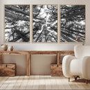Trees Contemporary Art Canvas Print by MyGreatCanvas | Canvas Wall Art Prints | Photo Prints & Wall Decor