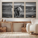 Fluffy Cattle Wall Art Print, Highland Cow Canvas, Framed by MyGreatCanvas | Canvas Wall Art Prints | Photo Prints & Wall Decor