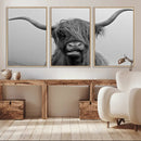 Texas Cow Wall Art Canvas, Texas Longhorn Cattle Canvas by MyGreatCanvas | Canvas Wall Art Prints | Photo Prints & Wall Decor