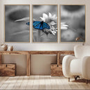 Blue Butterfly Black and White Canvas Wall Art by MyGreatCanvas | Canvas Wall Art Prints | Photo Prints & Wall Decor