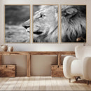 African Lion Wall Art Canvas Print – Majestic Wildlife