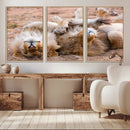 Lion Pair Wall Art Canvas Print – Framed Wildlife Scene with