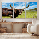 Longhorn and Cow Wall Art, Country Cow Wall Decor Canvas by MyGreatCanvas | Canvas Wall Art Prints | Photo Prints & Wall Decor