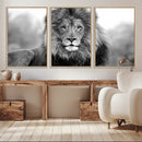 Black and White Lion Canvas Wall Art – Animal Print Artwork