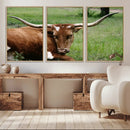 Longhorn Steer Canvas Wall Art – Rustic Nature Triptych