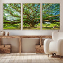 Majestic Oak Tree Wall Art – Serene Nature Canvas Print with