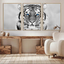 Tiger Canvas Artwork Wall Art Print by MyGreatCanvas | Canvas Wall Art Prints | Photo Prints & Wall Decor