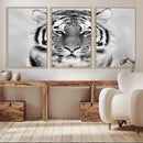 Black and White Tiger Wall Art Animal Canvas Print