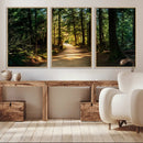 Natural Landscape Wall Art Relaxing Forest Canvas Print