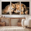 Lion and Lioness Wall Art Canvas Print – Framed African