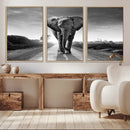 Black and White Elephant Wall Art Canvas Print