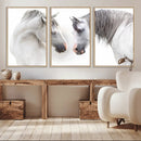 White Horse Wall Art Animal Canvas Print by MyGreatCanvas | Canvas Wall Art Prints | Photo Prints & Wall Decor