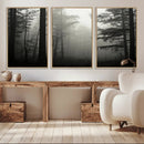 Misty Forest Wall Art Premium Canvas Print a Foggy and